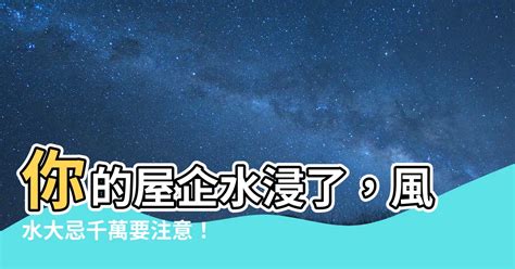 屋企風水|屋企水浸風水5大分析2024!（小編推薦）